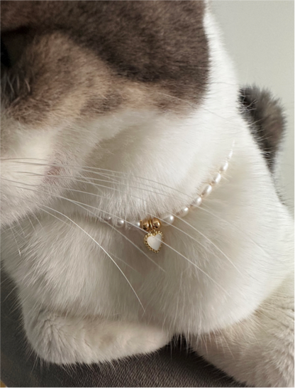 Jewellery for cats, small dogs and small pets. Best selling collars for pets